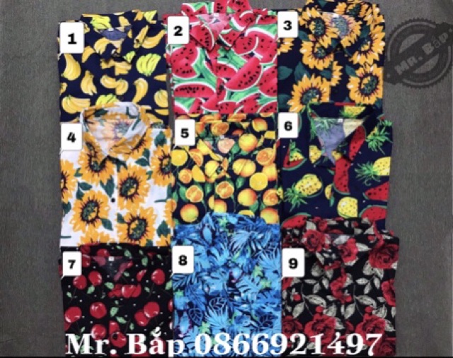 HQ06. Quần Trái Cây Đi Biển. Quần Dưa Khóm kèm bảng size. Bảng mẫu | BigBuy360 - bigbuy360.vn