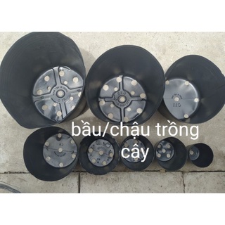 Combo 5 cái 🌺chậu/ bầu trồng cây