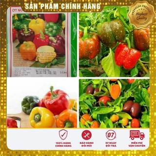 Hạt Giống Ớt Ngọt Nhiều Màu ( Ớt Chuông) Lucky seeds