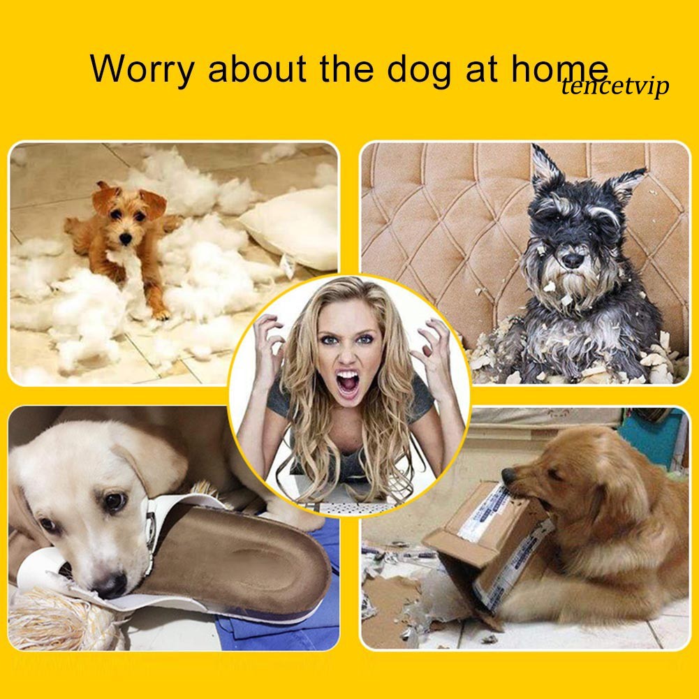 Đồ chơi gặm nhấm thiết kế hình tròn có âm thanh dành cho thú cưng