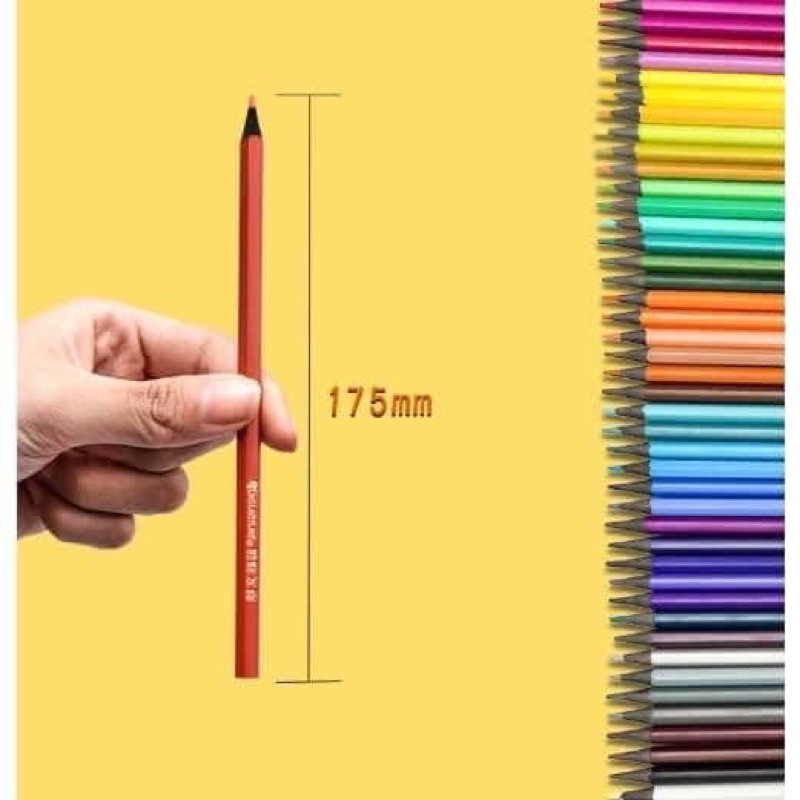 Hộp bút chì màu hãng Pensing 36 màu xịn