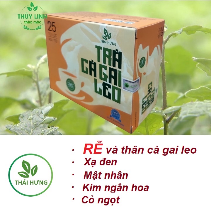 Trà Cà Gai Leo THÁI HƯNG Đặc biệt Thải độc gan, xóa tan virus - Combo 2 Hộp 25 túi lọc x 3g