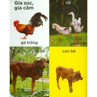 Sách - 100 Từ Mới - Làng Quê Của Em