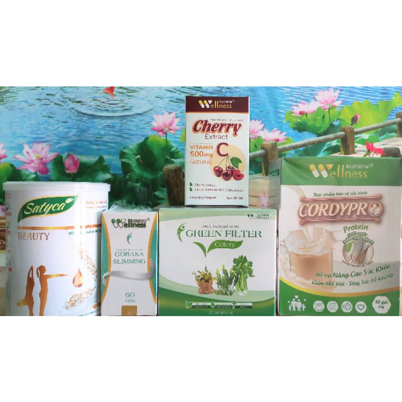 Bộ sản phẩm giảm cân 1 tháng wellnet By life gift