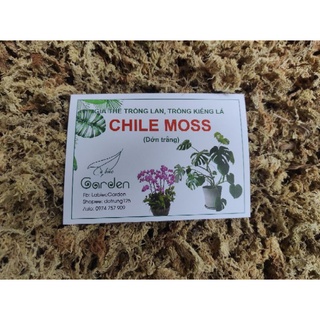 Dớn Chile, rêu sâu Chile