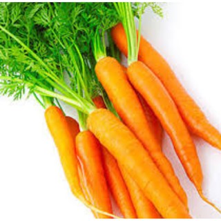500h Hạt Giống Cà Rốt củ to f1 (Daucus carota subsp. sativus)