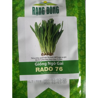 Hạt giống ngò gai| Mùi tàu
