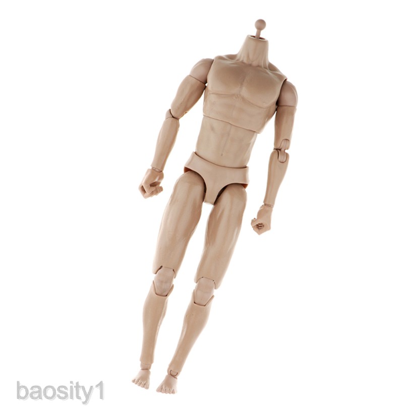 Mô hình cơ thể người nam tỉ lệ 1/6 12&quot;