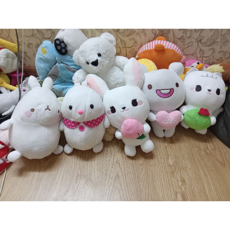 Gấu bông si chất đẹp kiện hàn ,nhật ,đài..size 20-35cm freeshipxtra