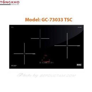 Bếp từ Giovani GC-73033 TSC