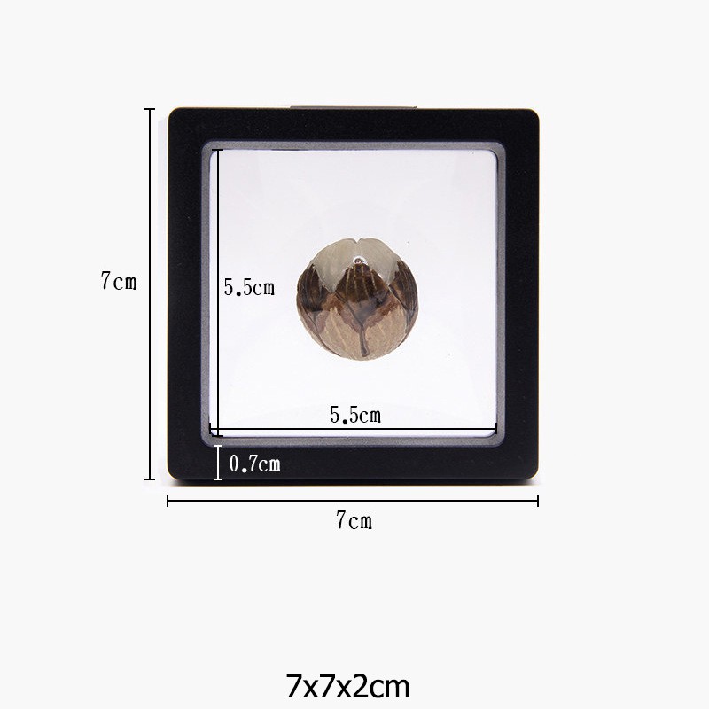 Hộp Đựng Trang Sức 7*7 cm Trong Suốt Đơn Giản