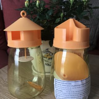 Bộ dụng cụ bẫy ruồi vàng