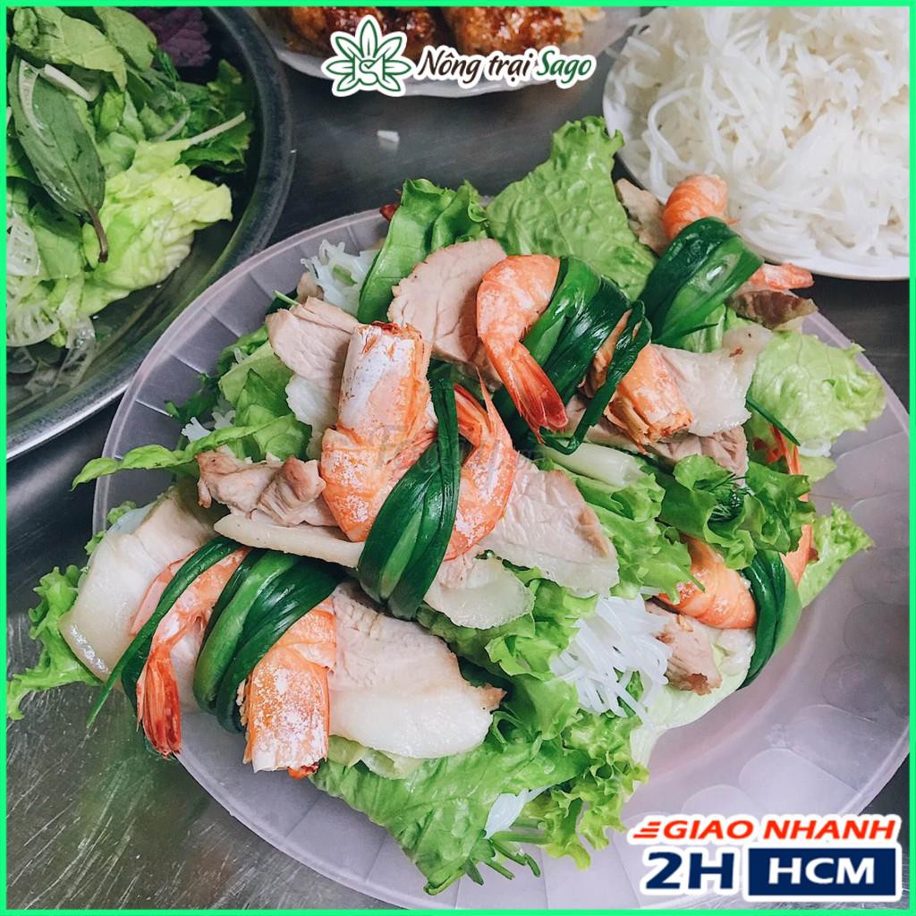 Hạt giống Xà Lách Mỹ Minetto Trồng Quanh Năm, Kháng Bệnh Tốt (gói 2 gr) - Nông Trại Sago