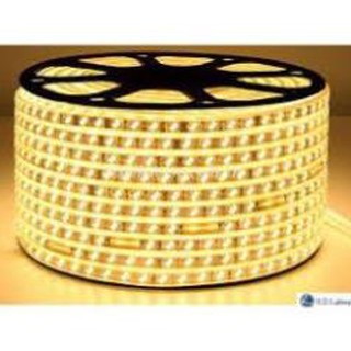 Cuộn led 2835 hai hàng bóng