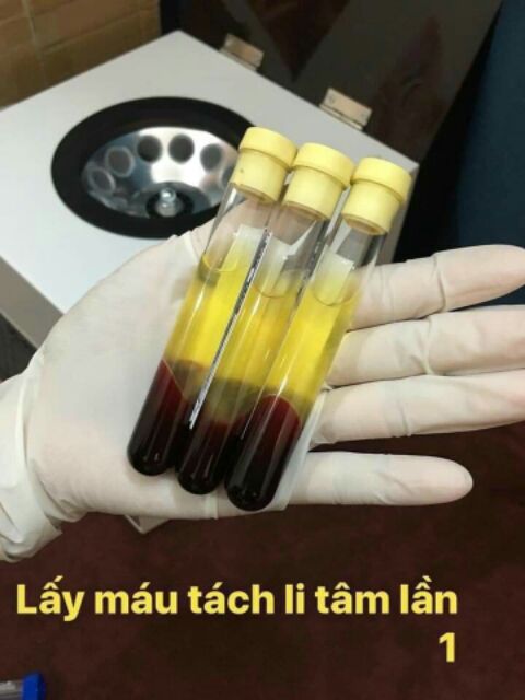 Máy li tâm 6 ống