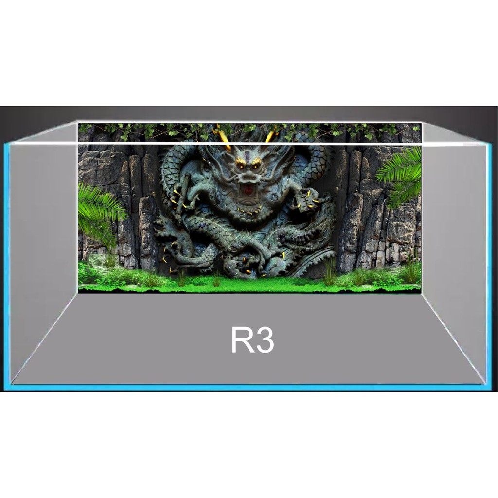 Tranh 3D dán bể cá mẫu rồng R3