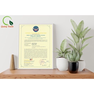 Bột diếp cá Quảng Thanh sấy lạnh