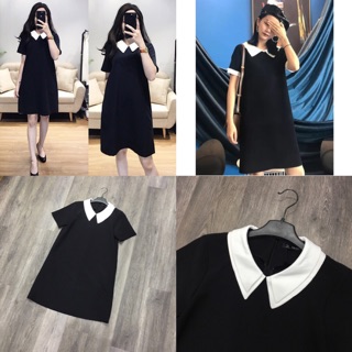 Đầm tnk cổ pan
