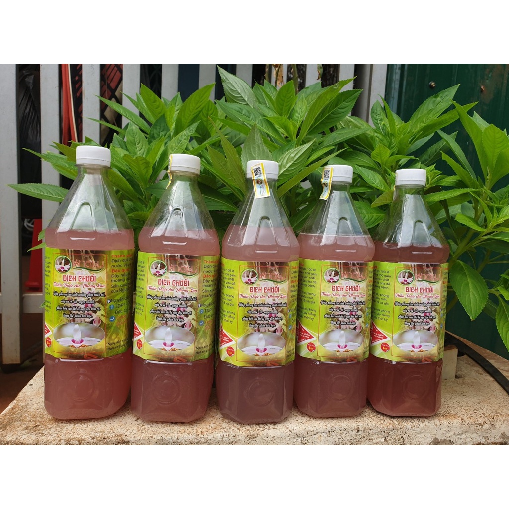 Dịch chuối trồng cây bón lan