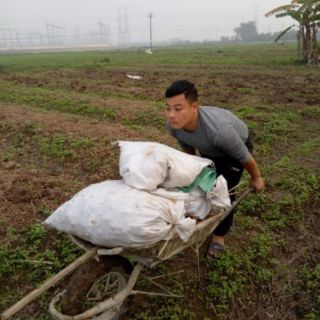 Tinh bột nghệ