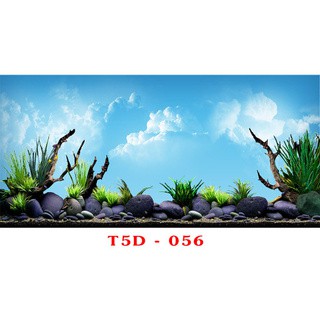 Tranh bể cá-fish 3d phụ kiện bể cá cảnh, bể cá thủy sinh kích thước 60,80,90,100,120,150,160