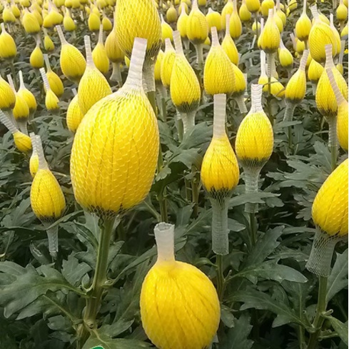 10 Mét Lưới Chụp Bông  Lưới Đựng Phân Dê