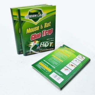 KEO DÍNH CHUỘT SIÊU DÍNH. SET 3 MIẾNG