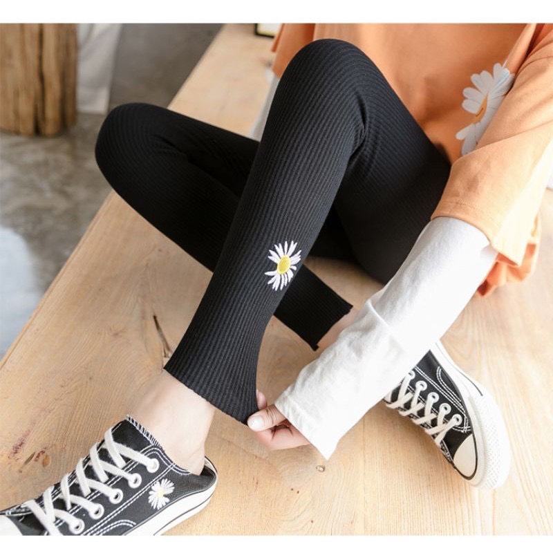 Quần Legging Hoa Cúc Mẫu Mới