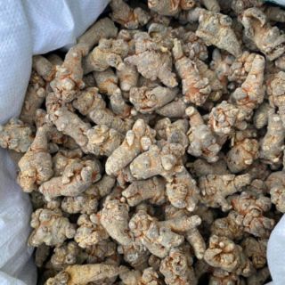 100gr Củ tam thất khô đặc sản Tây Bắc