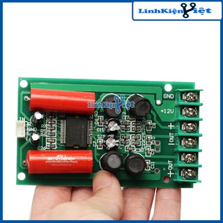 Module Khuếch Đại Âm Thanh Hifi TA2024