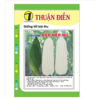 HẠT GIỐNG BẮP NẾP NÙ 100GRAM