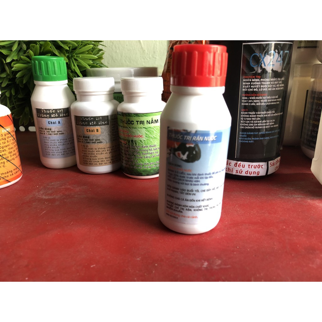 Thuốc trị rận nước chai 100ml