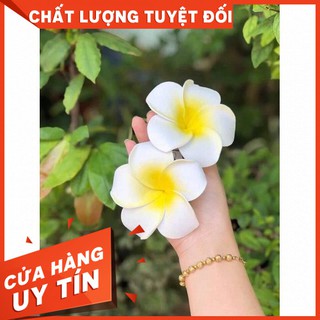 [HOT]Cài Tóc Hoa Sứ Size Vừa[Còn hàng]