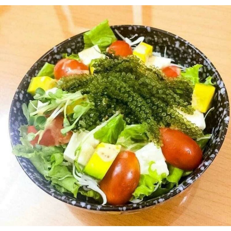 1kg Rong nho tươi hàng mới hàng ngày