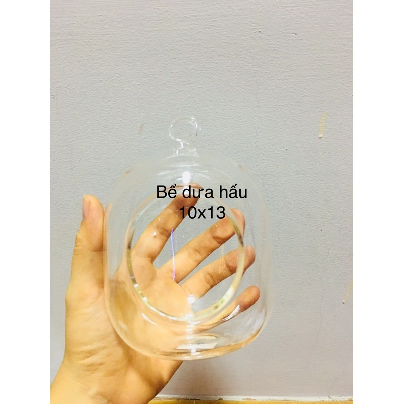 Bể cá treo mini trang trí trồng thủy sinh khung đơn bể dưa