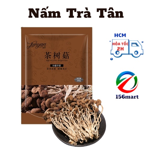Nấm trà tân - Nấm cây trà