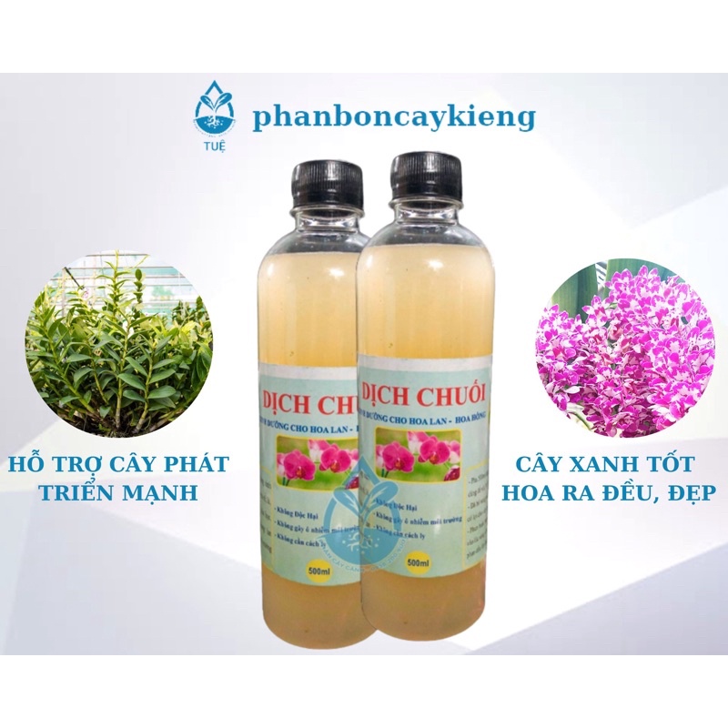 Dịch chuối vi sinh đậm đặc chai 500ml dùng tưới rau, hoa hồng, hoa mai, hoa lan