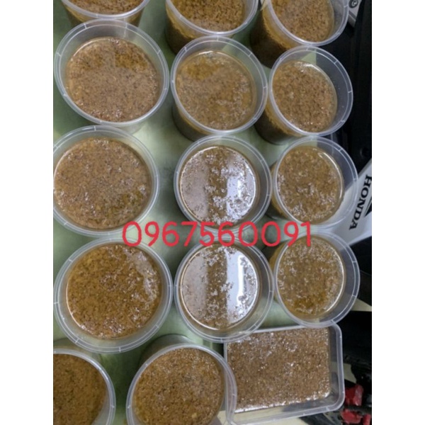 Pate Hà Nội | BigBuy360 - bigbuy360.vn