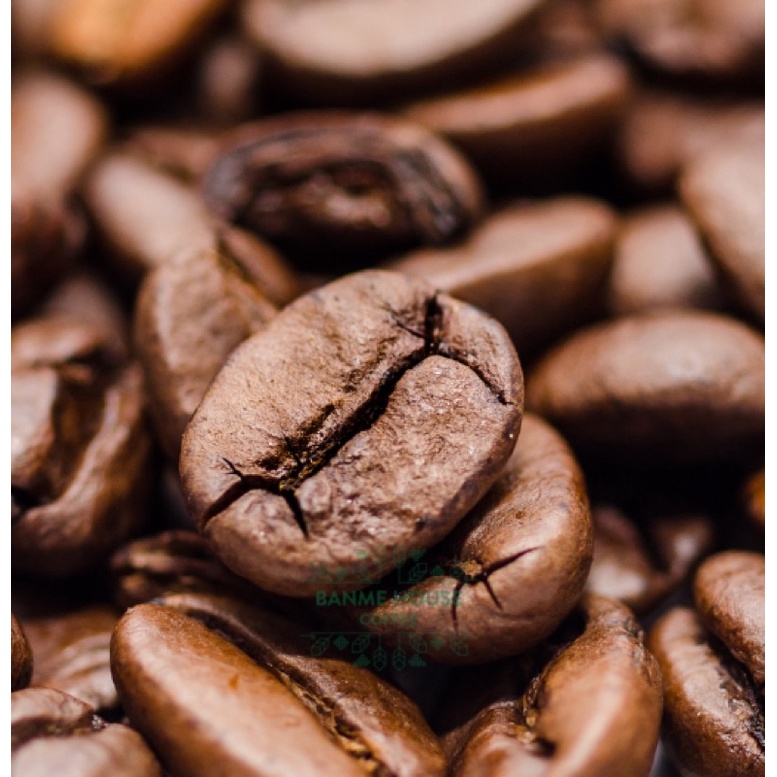 Cà phê Arabica Cầu Đất Rang mộc Nguyên chất | BigBuy360 - bigbuy360.vn