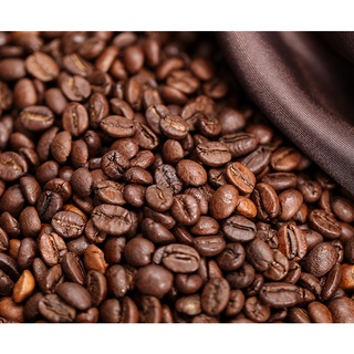 Cà Phê ROBUSTA HONEY Rang Mộc Nguyên Chất S18