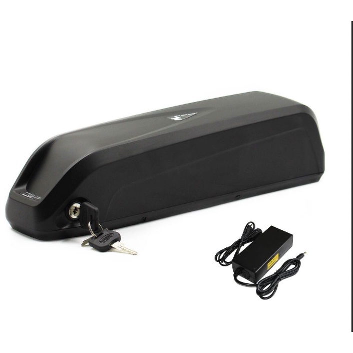 Pin Hailong 48v 17.5AH