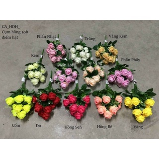 Cụm Hoa Hồng Trứng 10 bông