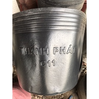 Chậu nhựa đen C11