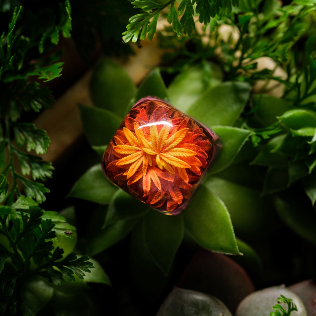 Phiên bản giới hạn Keycap  DF TERRARIUM DOM version