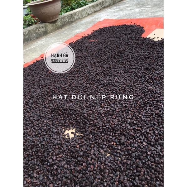 Hạt dổi nếp gia vị ướp nướng cực thơm của người Tây Bắc