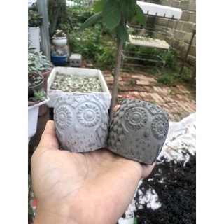 Chậu xi măng mini hình cú