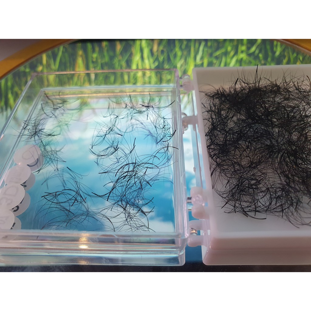 Lông Mi Sole Fan Tay Sẵn - Mi fan Camelia- 3D 4D 5D cong C D LMFT Hani chân keo nhỏ