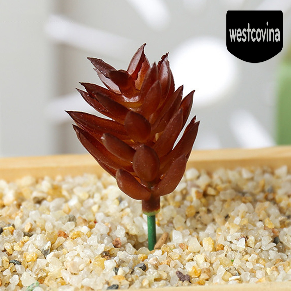 [Hot]☀ 1 Cây Mọng Nước Nhân Tạo Nhiều Màu Sắc Dùng Trong Trang Trí