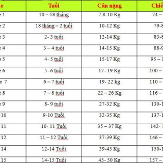 Bộ thun thể thao cho bé gái