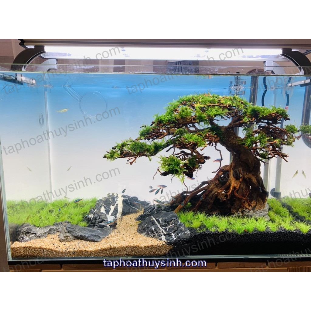 TẤM SÁNG LIGHT SCREEN DET CAO CẤP - BACKROUND ĐÈN NỀN LED SIZE 45 x 30 cm